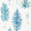 Fernery 216635